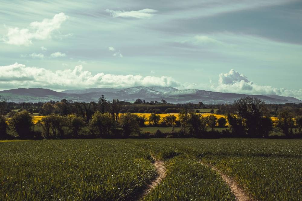 The Blackstairs mountains
